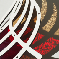 Butterfly - Atrophaneura semperi albofasciata